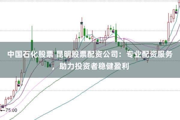 中国石化股票 昆明股票配资公司：专业配资服务，助力投资者稳健盈利
