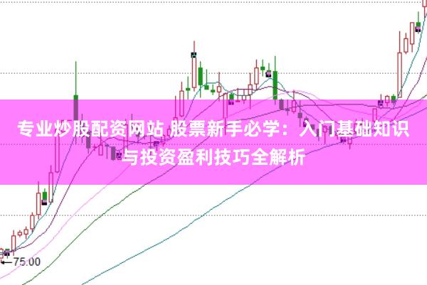 专业炒股配资网站 股票新手必学:入门基础知识与投资盈利技巧全解析