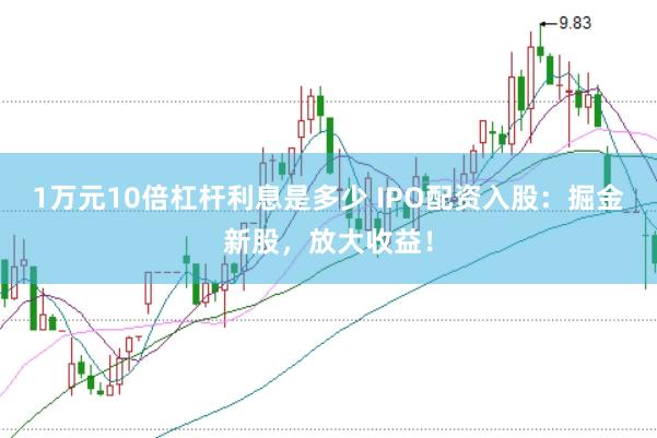 1万元10倍杠杆利息是多少 IPO配资入股:掘金新股,放大收益!