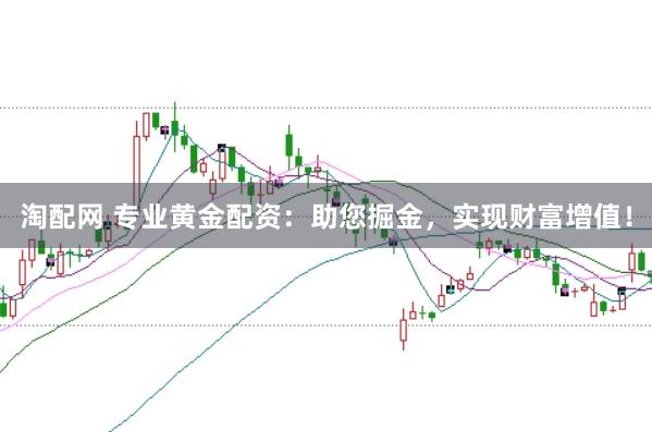 淘配网 专业黄金配资：助您掘金，实现财富增值！