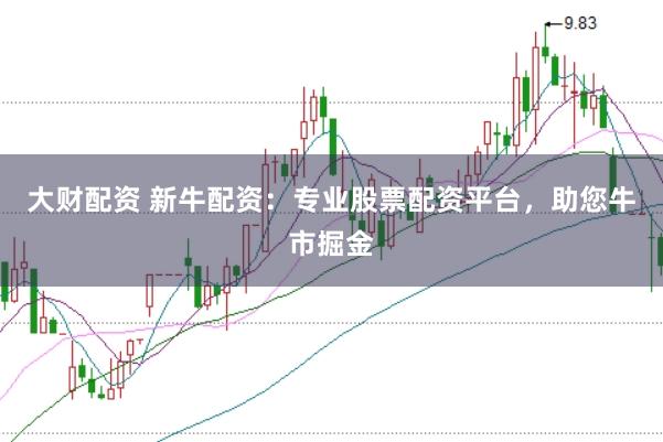 大财配资 新牛配资：专业股票配资平台，助您牛市掘金