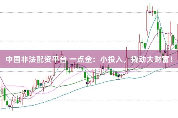 中国非法配资平台 一点金:小投入,撬动大财富!