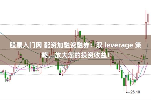 股票入门网 配资加融资融券：双 leverage 策略，放大您的投资收益！