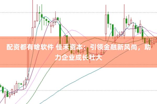 配资都有啥软件 佳禾资本：引领金融新风尚，助力企业成长壮大
