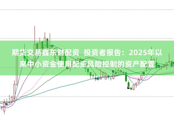 期货交易鑫东财配资 投资者报告:2025年以来中小资金使用配资风险控制的资产配置