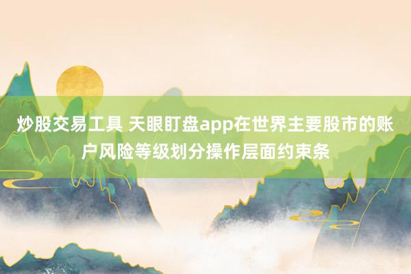 炒股交易工具 天眼盯盘app在世界主要股市的账户风险等级划分操作层面约束条