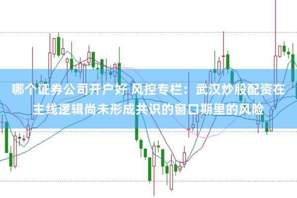 哪个证券公司开户好 风控专栏：武汉炒股配资在主线逻辑尚未形成共识的窗口期里的风险