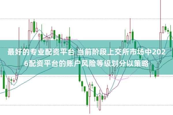 最好的专业配资平台 当前阶段上交所市场中2026配资平台的账户风险等级划分以策略