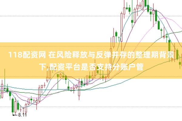 118配资网 在风险释放与反弹并存的整理期背景下，配资平台是否支持分账户管