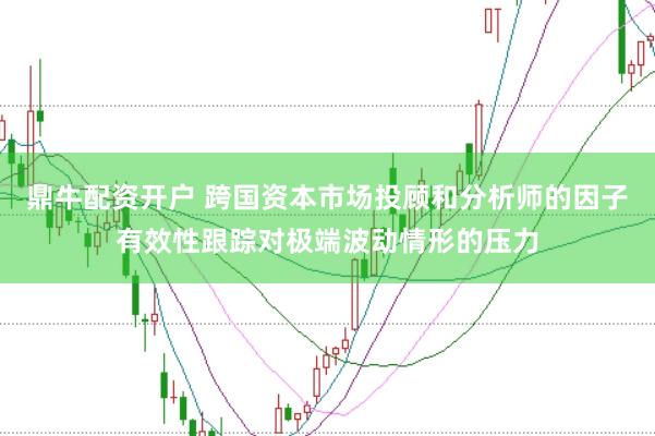 鼎牛配资开户 跨国资本市场投顾和分析师的因子有效性跟踪对极端波动情形的压力