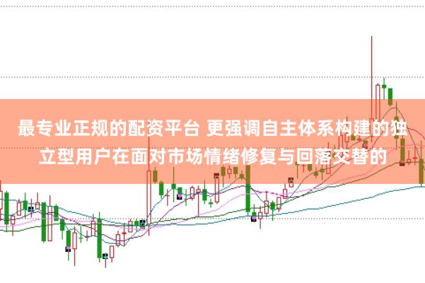 最专业正规的配资平台 更强调自主体系构建的独立型用户在面对市场情绪修复与回落交替的