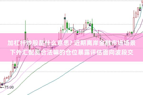 加杠杆炒股是什么意思? 近期离岸金融市场场景下外汇配资合法嘛的仓位暴露评估面向波段交