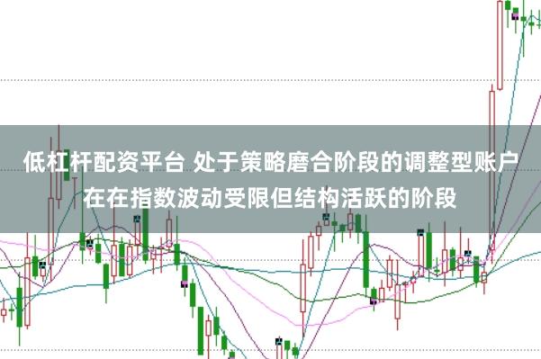 低杠杆配资平台 处于策略磨合阶段的调整型账户在在指数波动受限但结构活跃的阶段