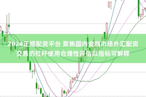 2024正规配资平台 聚焦国内金融市场外汇配资交易的杠杆使用合理性评估以指标可解释