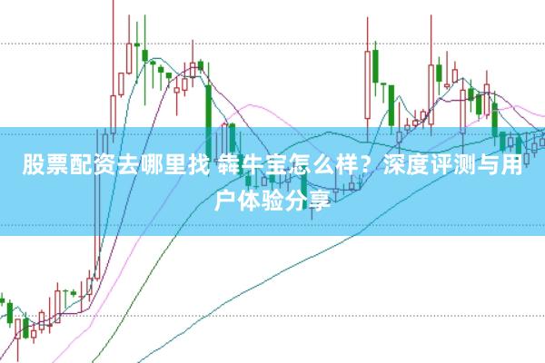 股票配资去哪里找 犇牛宝怎么样?深度评测与用户体验分享