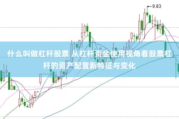 什么叫做杠杆股票 从杠杆资金使用视角看股票杠杆的资产配置新特征与变化