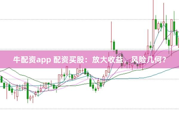 牛配资app 配资买股：放大收益，风险几何？