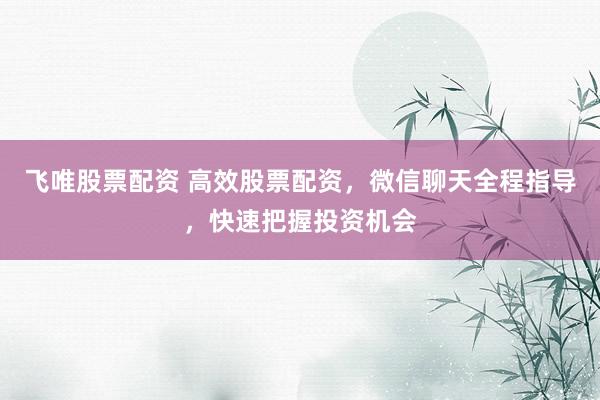 飞唯股票配资 高效股票配资，微信聊天全程指导，快速把握投资机会