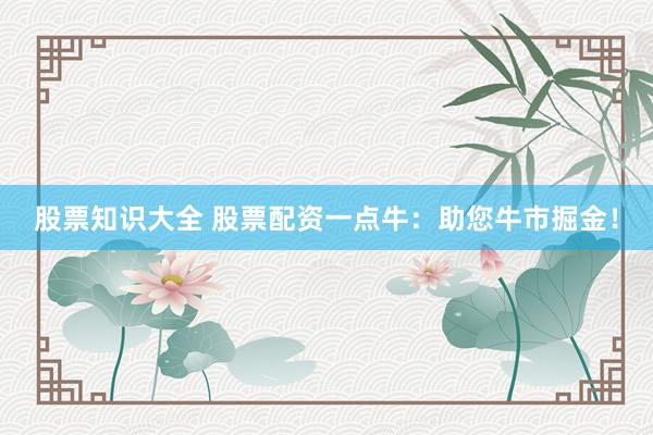 股票知识大全 股票配资一点牛：助您牛市掘金！