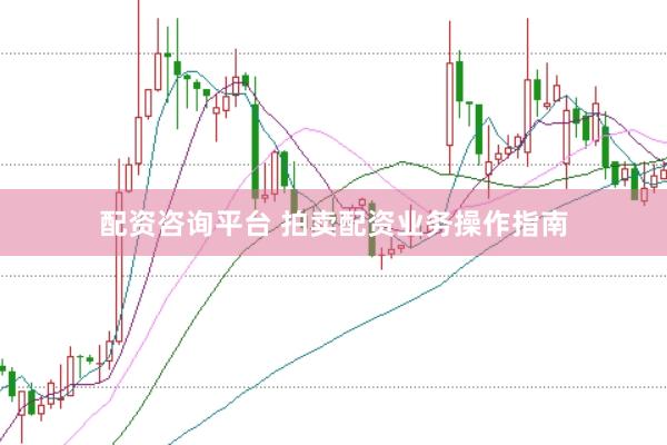 配资咨询平台 拍卖配资业务操作指南