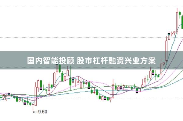 国内智能投顾 股市杠杆融资兴业方案