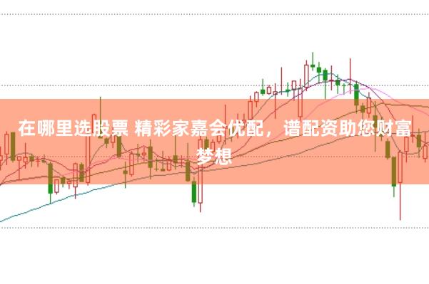 在哪里选股票 精彩家嘉会优配，谱配资助您财富梦想