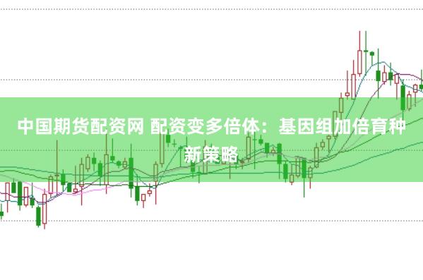 中国期货配资网 配资变多倍体：基因组加倍育种新策略